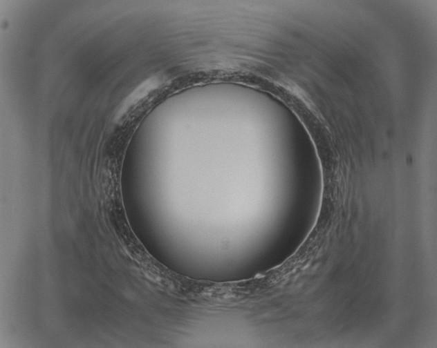 X0000062880967200601201815