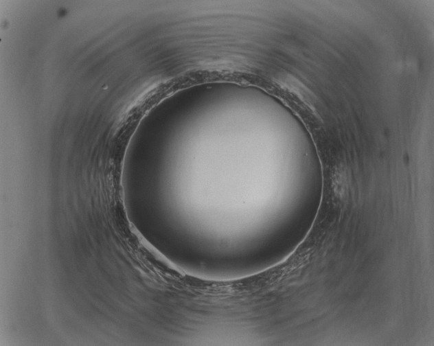 X0000062880968200601201815