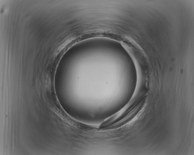 X0000062880969200601201815