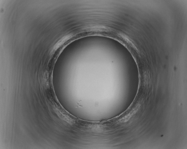 X0000062880970200601201815