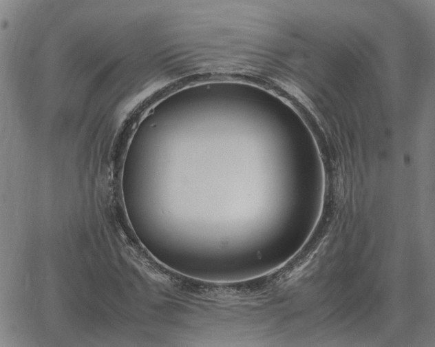 X0000062880971200601201815