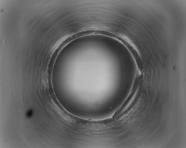 X0000062880972200601201815