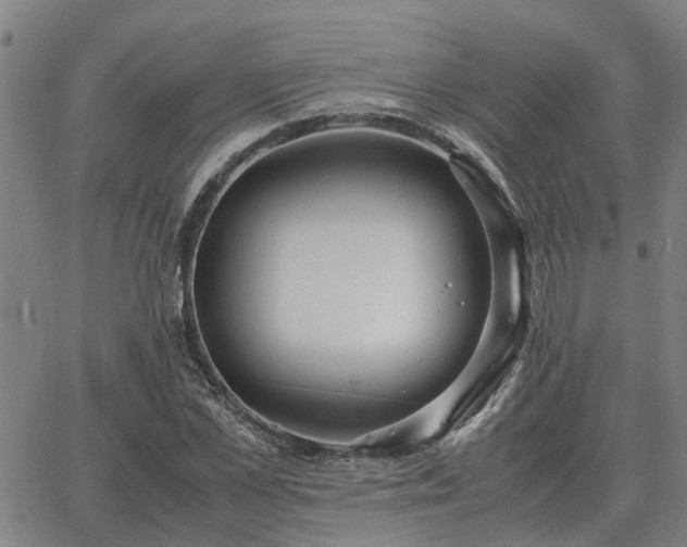 X0000062880973200601201815