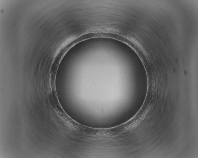 X0000062880974200601201815