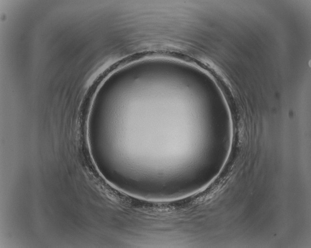 X0000062880975200601201815