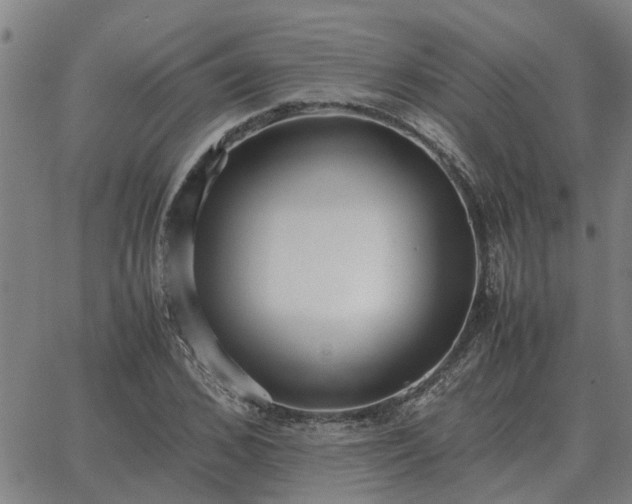 X0000062880976200601201815