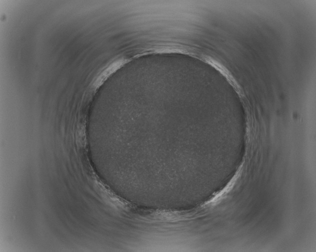 X0000062880977200601201815