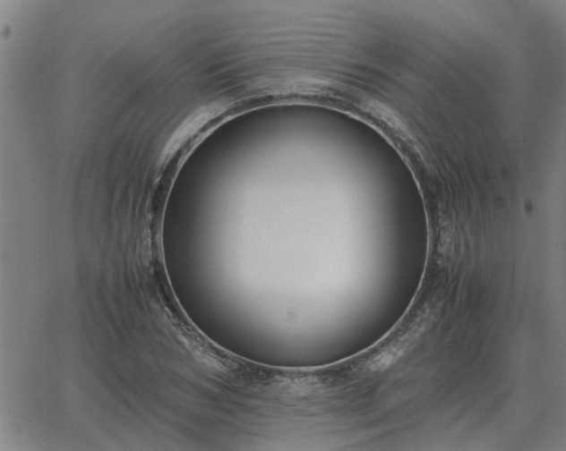 X0000062880978200601201815