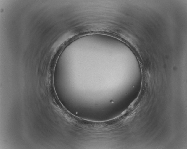 X0000062880979200601201815