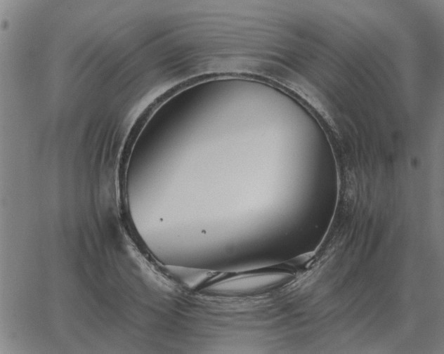 X0000062880980200601201815