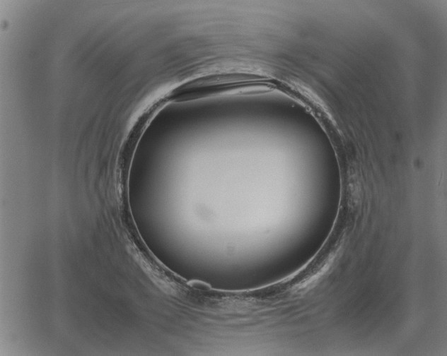 X0000062880981200601201815