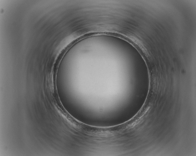 X0000062880982200601201815