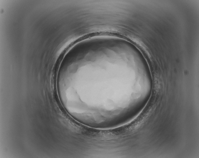 X0000062880983200601201815