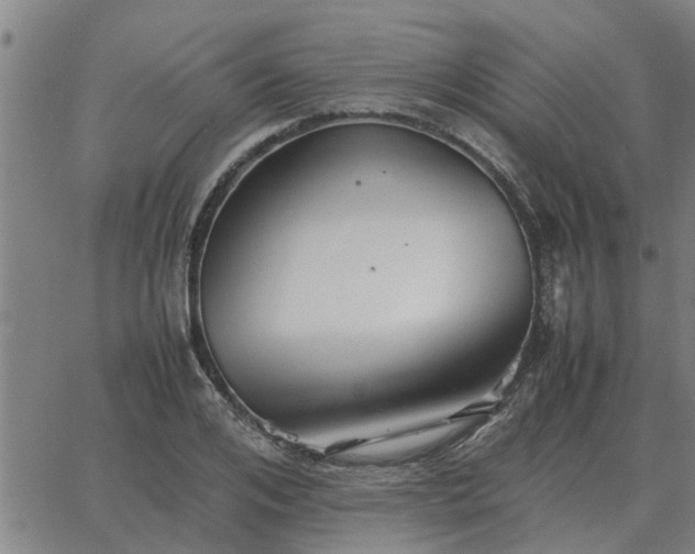 X0000062880984200601201815