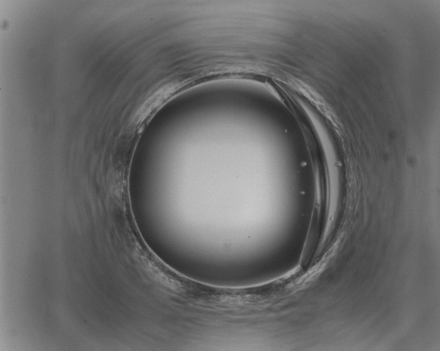 X0000062880985200601201815