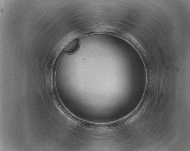 X0000062880986200601201815