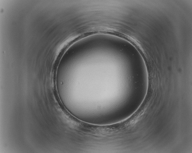 X0000062880987200601201815