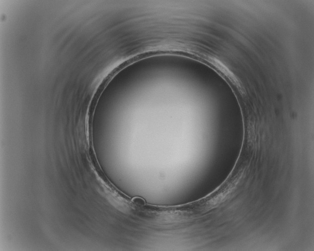 X0000062880988200601201815