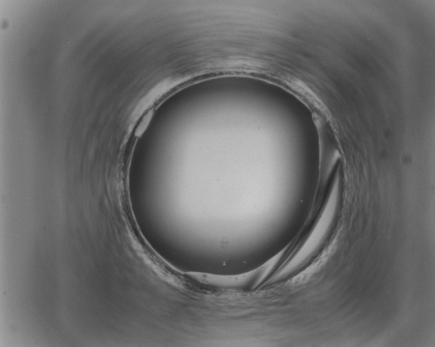 X0000062880989200601201815