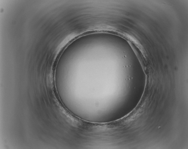 X0000062880990200601201815