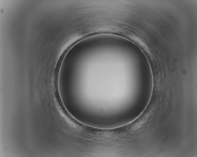 X0000062880991200601201815