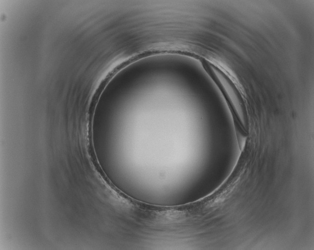 X0000062880992200601201815