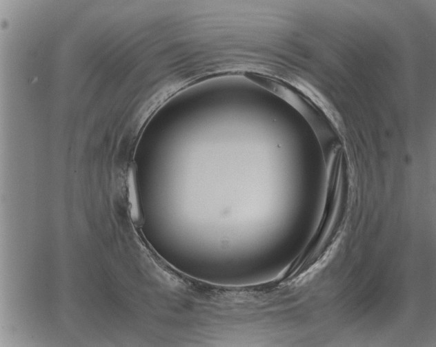 X0000062880993200601201815