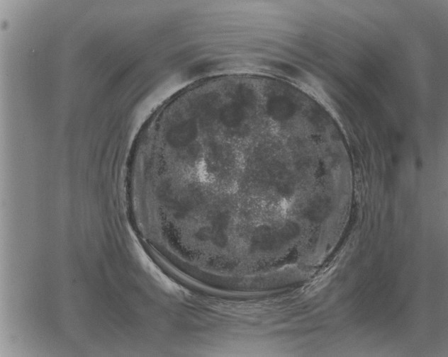 X0000062880995200601201815