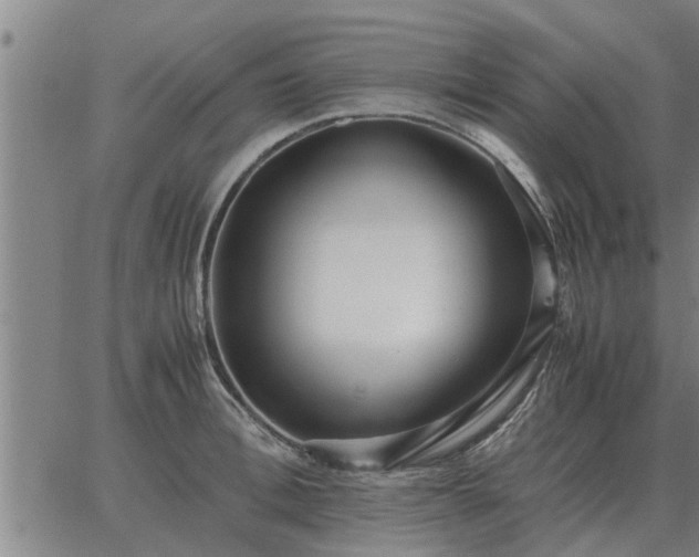 X0000062880996200601201815