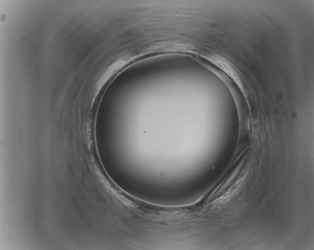 X0000062880997200601201815