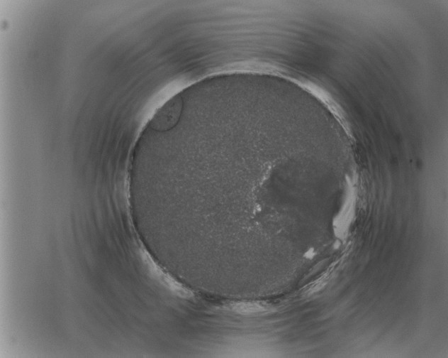 X0000062880998200601201815