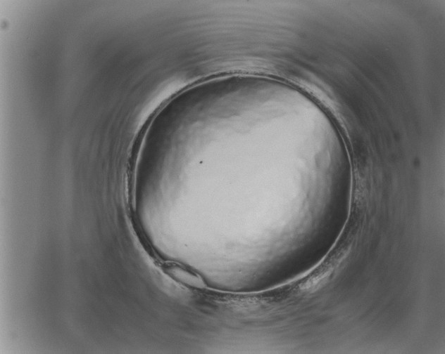 X0000062880999200601201815