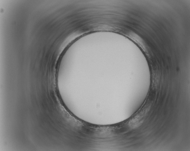 X0000062881000200601201815