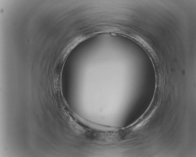 X0000062881001200601201815