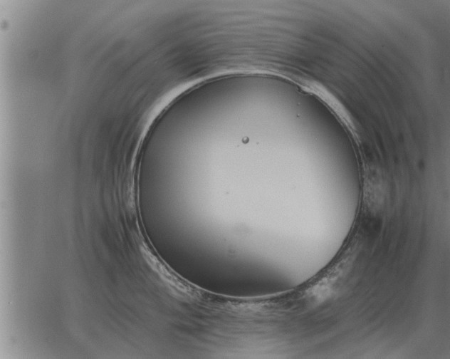 X0000062881004200601201815