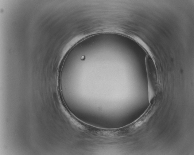 X0000062881005200601201815