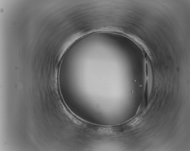 X0000062881006200601201815