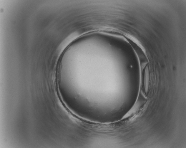 X0000062881007200601201815