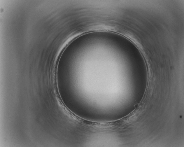 X0000062881008200601201815