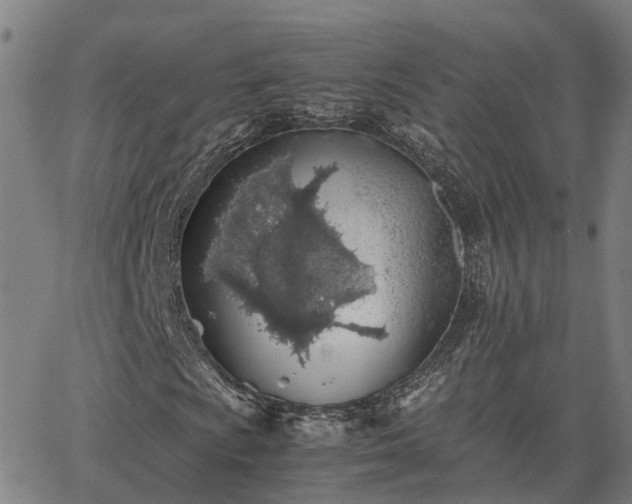 X0000062881009200601201814