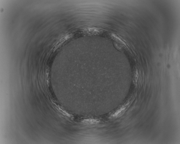 X0000062881010200601201814