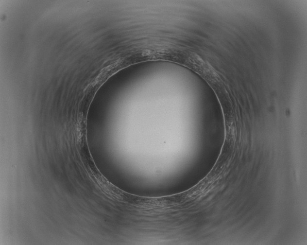 X0000062881012200601201814