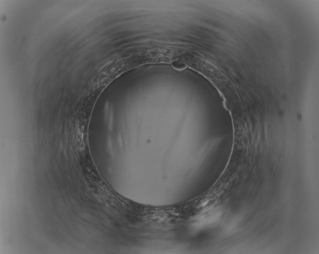 X0000062881013200601201814