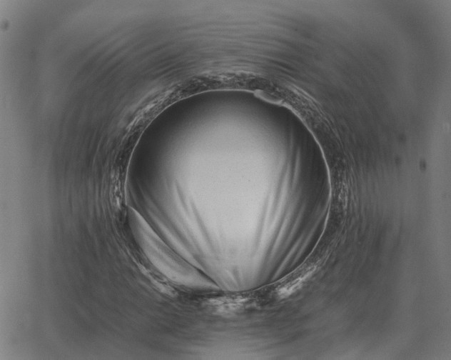 X0000062881014200601201814