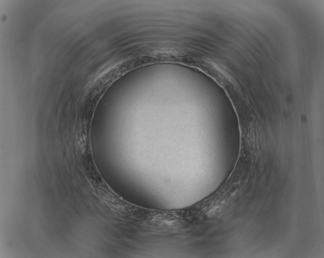 X0000062881015200601201814