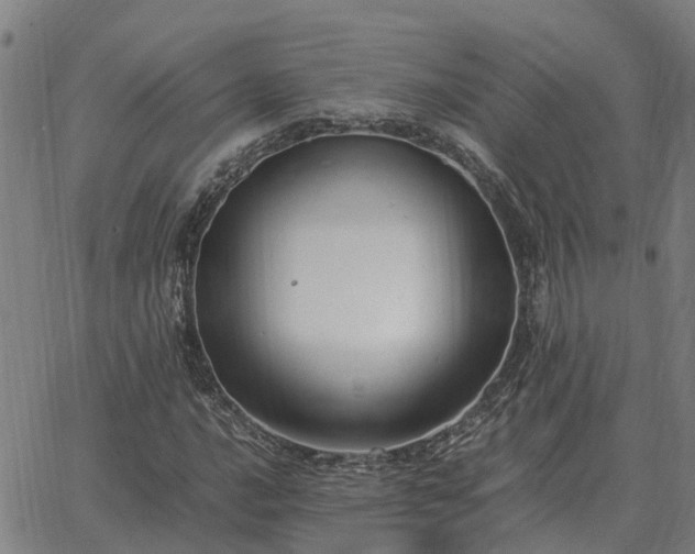 X0000062881016200601201814