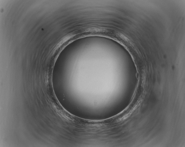 X0000062881017200601201814