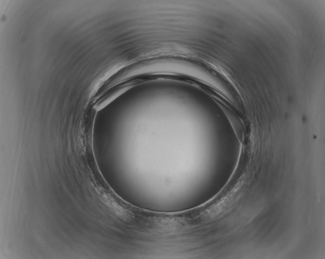 X0000062881018200601201814