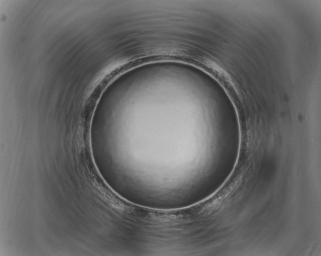 X0000062881019200601201814