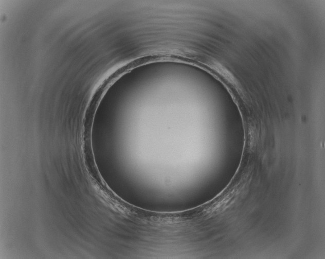 X0000062881020200601201814